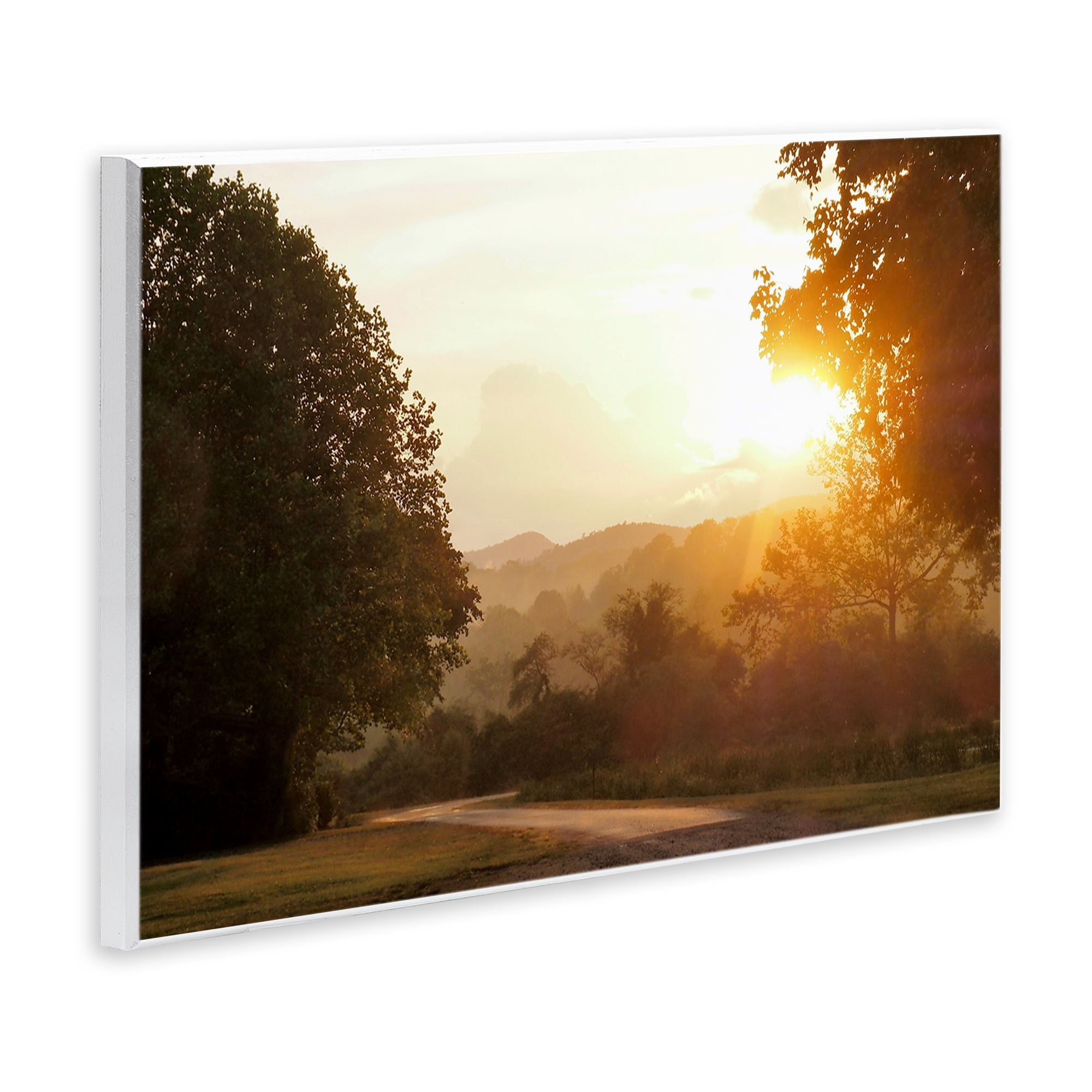Stupell Industries Golden Morning Between Trees Wall Plaque Art, design by Gail Peck