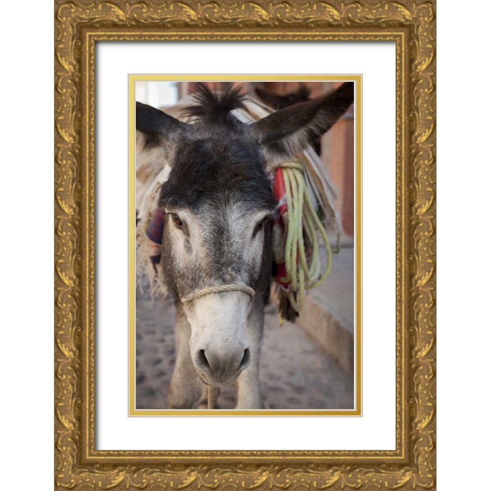 Paulson, Don 23x32 Black Ornate Wood Framed with Double Matting Museum Art  Print Titled - Mexico Frontal Donkey carrying load 