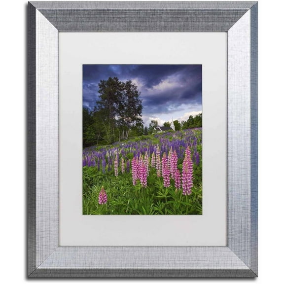 Trademark Fine Art 'Lupines on the Hill' Canvas Art by Michael Blanchette Photography, White Matte, Silver Frame