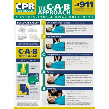 Learning Zone Poster - Adult CPR Poster Laminated Poster - 18x24