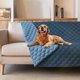 thumbnail image 1 of Funda de cama para perros, manta impermeable para mascotas, protector de sofá gogobunny, 1 of 7