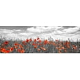 thumbnail image 2 of Krahmer, Frank 18x9 Black Ornate Wood Framed with Double Matting Museum Art Print Titled - Poppies in corn field, Bavaria, Germany, 2 of 4