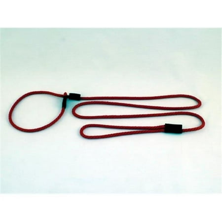 Small Dog Slip Leash 0.25 In. Diameter By 6 Ft. - Red