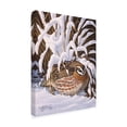 thumbnail image 2 of Trademark Fine Art Animals Canvas Art ' Hiding Quail ' by Wilhelm Goebel, 2 of 3