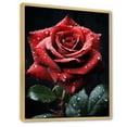 thumbnail image 2 of Designart "Red Black Rose magic Beauty I" Floral Floater Framed Canvas Wall Art, 2 of 7