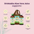 Lily Of The Desert DHF10 Aloe Vera Juice Inner Fillet Aloe Vera Drink