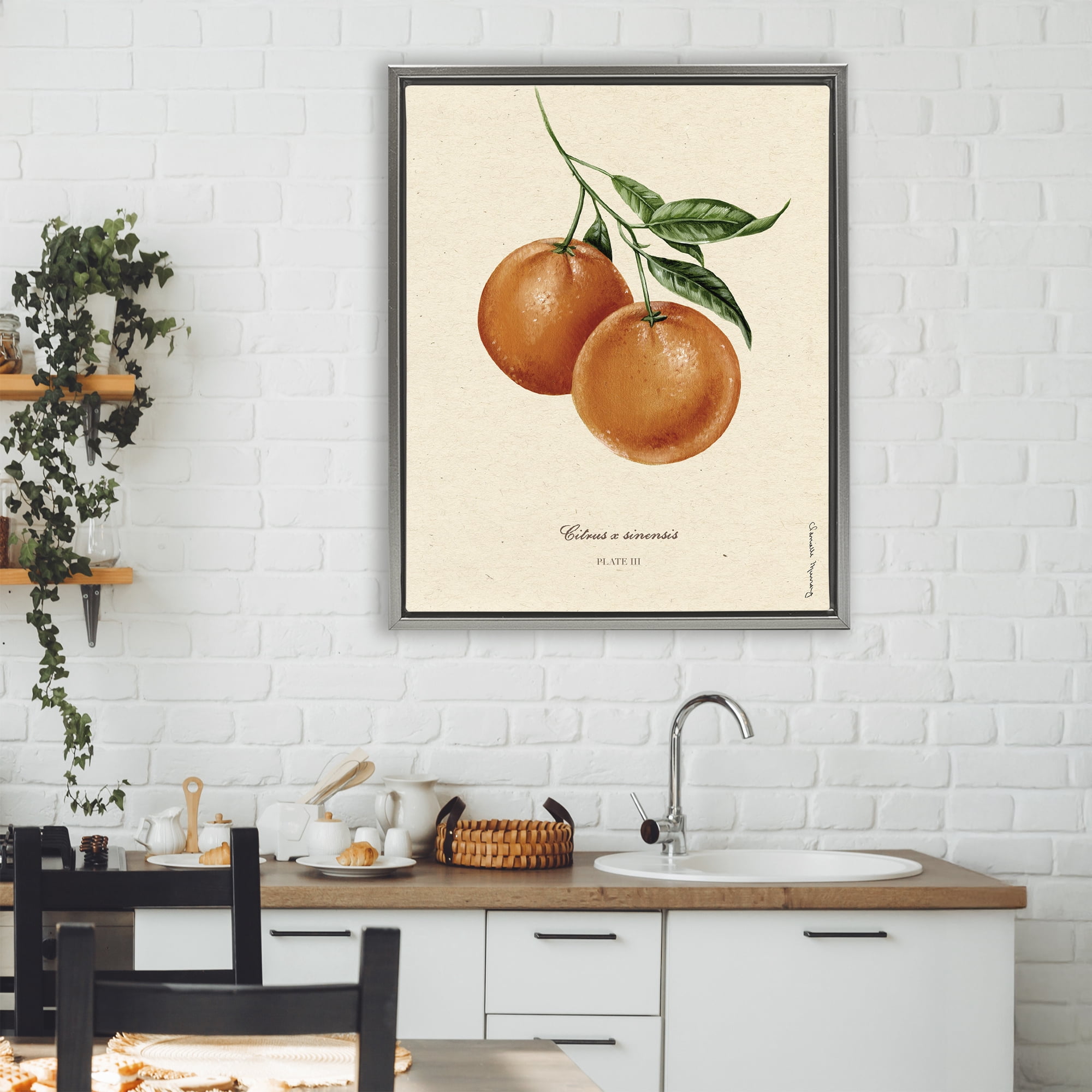 Stupell Industries Orange Fruit Portrait Gray Framed Floater Canvas Wall Art, design by Danielle Murray