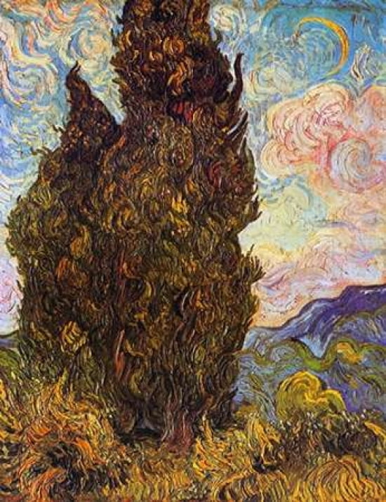 Cypresses Canvas Ar