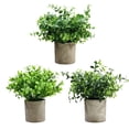 thumbnail image 2 of Planta artificial en maceta Timcorr eucalipto falsa realista, 2 of 8