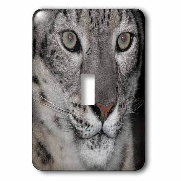 3dRose Snow Leopard - Single Toggle Switch (lsp_11536_1)