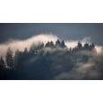 thumbnail image 2 of Schade, Peter 14x10 Black Ornate Wood Framed with Double Matting Museum Art Print Titled - Black Forest I, 2 of 4