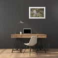 thumbnail image 3 of Peaco, Jim 32x23 White Modern Wood Framed Museum Art Print Titled - Great Gray Owl, Yellowstone National Park, 3 of 4