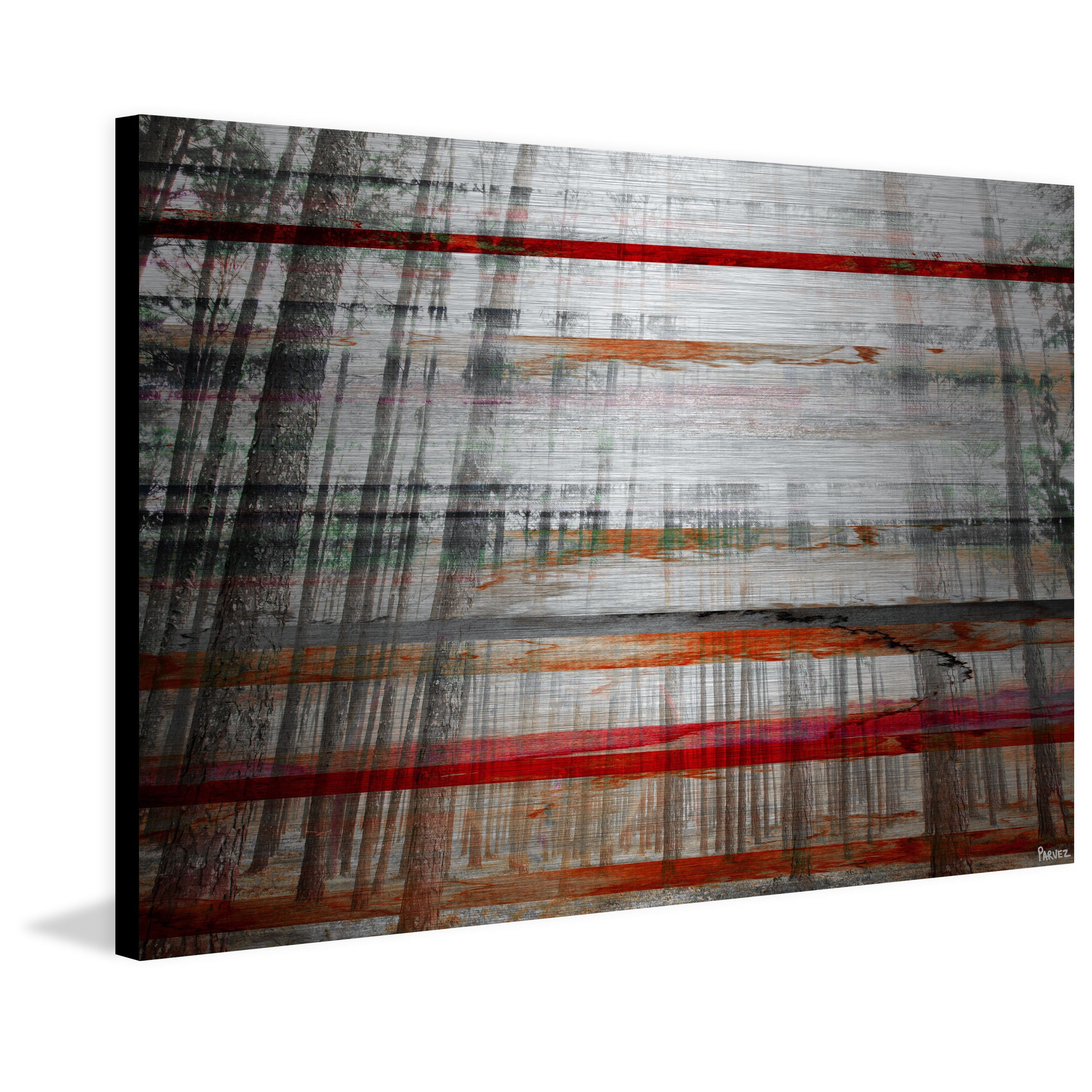 Parvez Taj Pt-Wnpw-137-Al-45 30" x 45" "Gray Trees" Art Print On Aluminum
