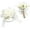 Ivory White, variant on Ivory Ranunculus Peony Wrist Corsage Wristlet Band Bracelet and Men Boutonniere Set for White Wedding Flower Accessories Prom Suit Decorations
