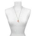 thumbnail image 3 of Delight Jewelry Acrylic Small Paw Orange Silvertone Always My Sister Bar Charm Necklace, 23", 3 of 4