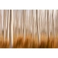 thumbnail image 3 of Frutos, David 14x11 Black Modern Framed Museum Art Print Titled - Spring Impressions In A Poplar Fields, 3 of 5