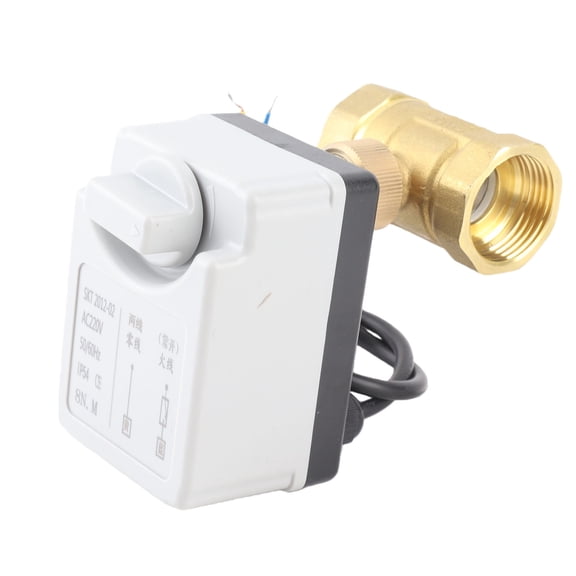 Rupoun Motorized Ball Valve Electrical 2 Way Normally Open Manual Automatic Integrated DN25 1 in / 25.4 mm AC220V Brass Valve for Water and Fluid Systems
