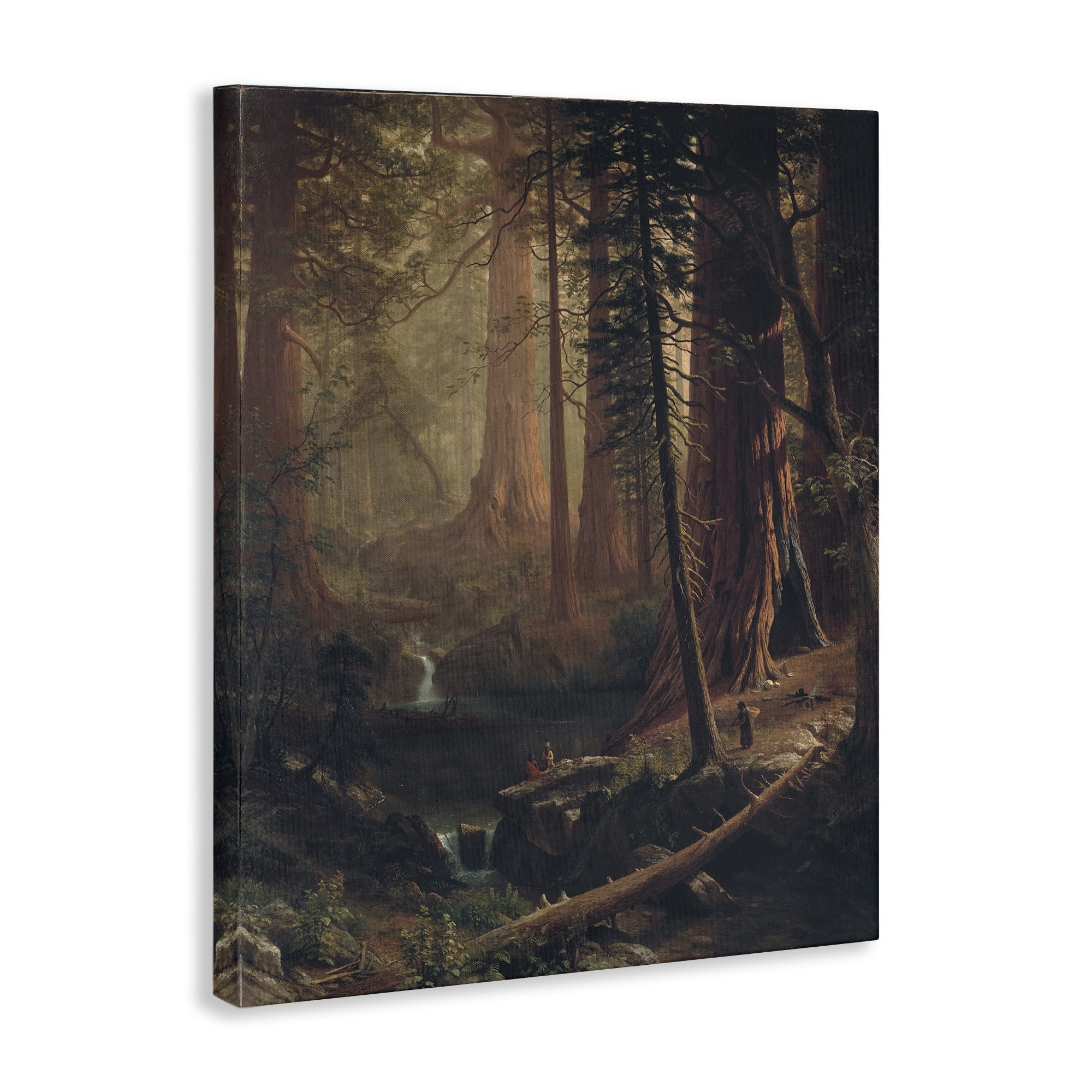 Stupell Industries Classic Trees of California Landscape & Nature Painting Wrapped Canvas Art Print Wall Art, 16 x 20