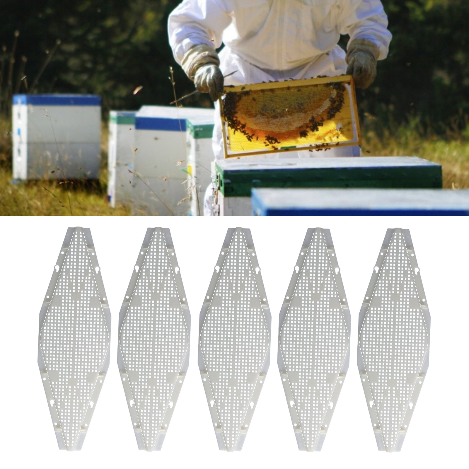 Bee Wax-moth Larva Killer Treatment Tools Wood Strips Beekeeping Pest Contro New 