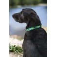 thumbnail image 3 of Lupine Original Designs Adjustable Dog Collar - Guaranteed Even if Chewed - Multiple Sizes Tail Feathers / 12-20" / 1", 3 of 5
