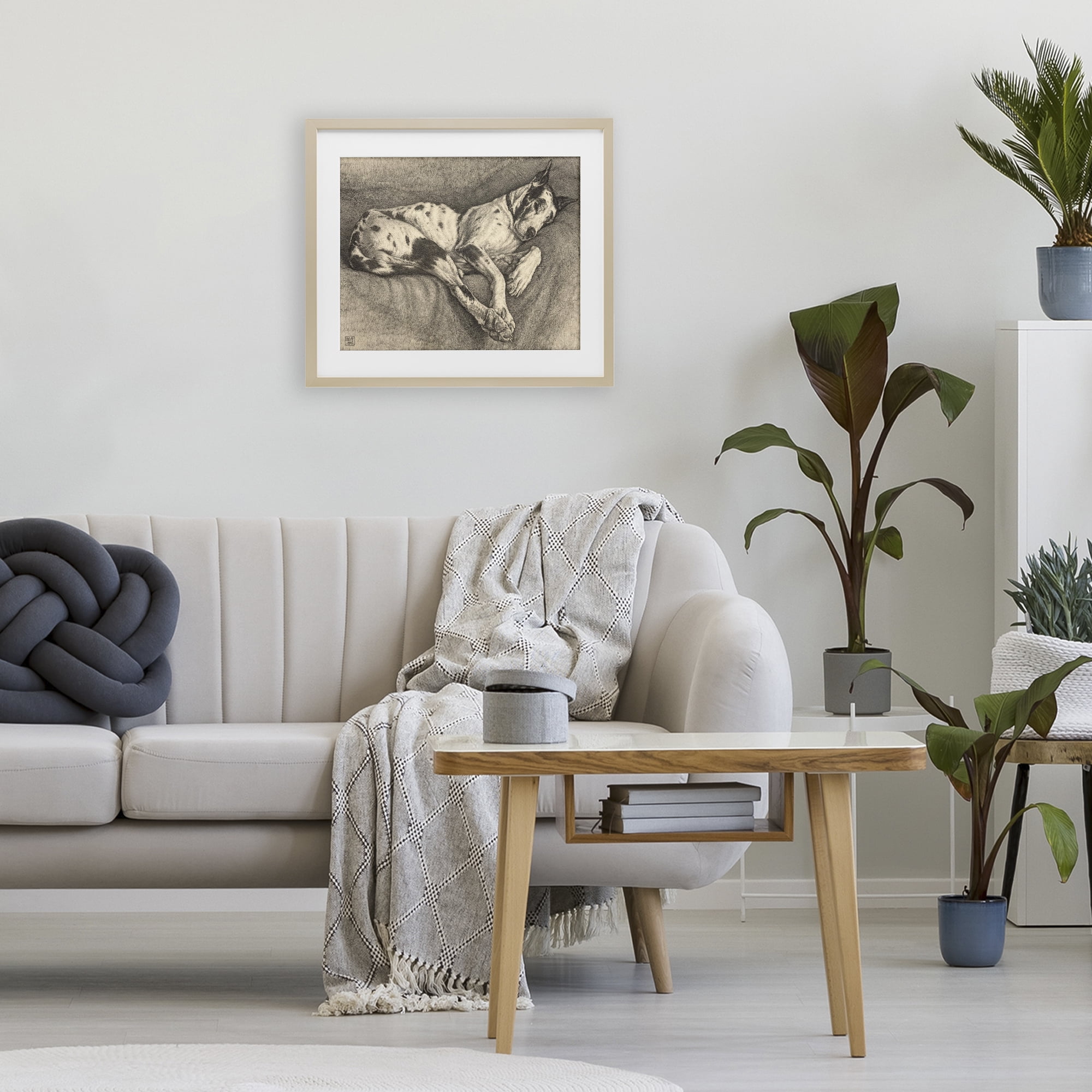 Stupell Industries Sleeping Hound Drawing Birch Framed Print Under Glass, design by Bertha Van Hasselt