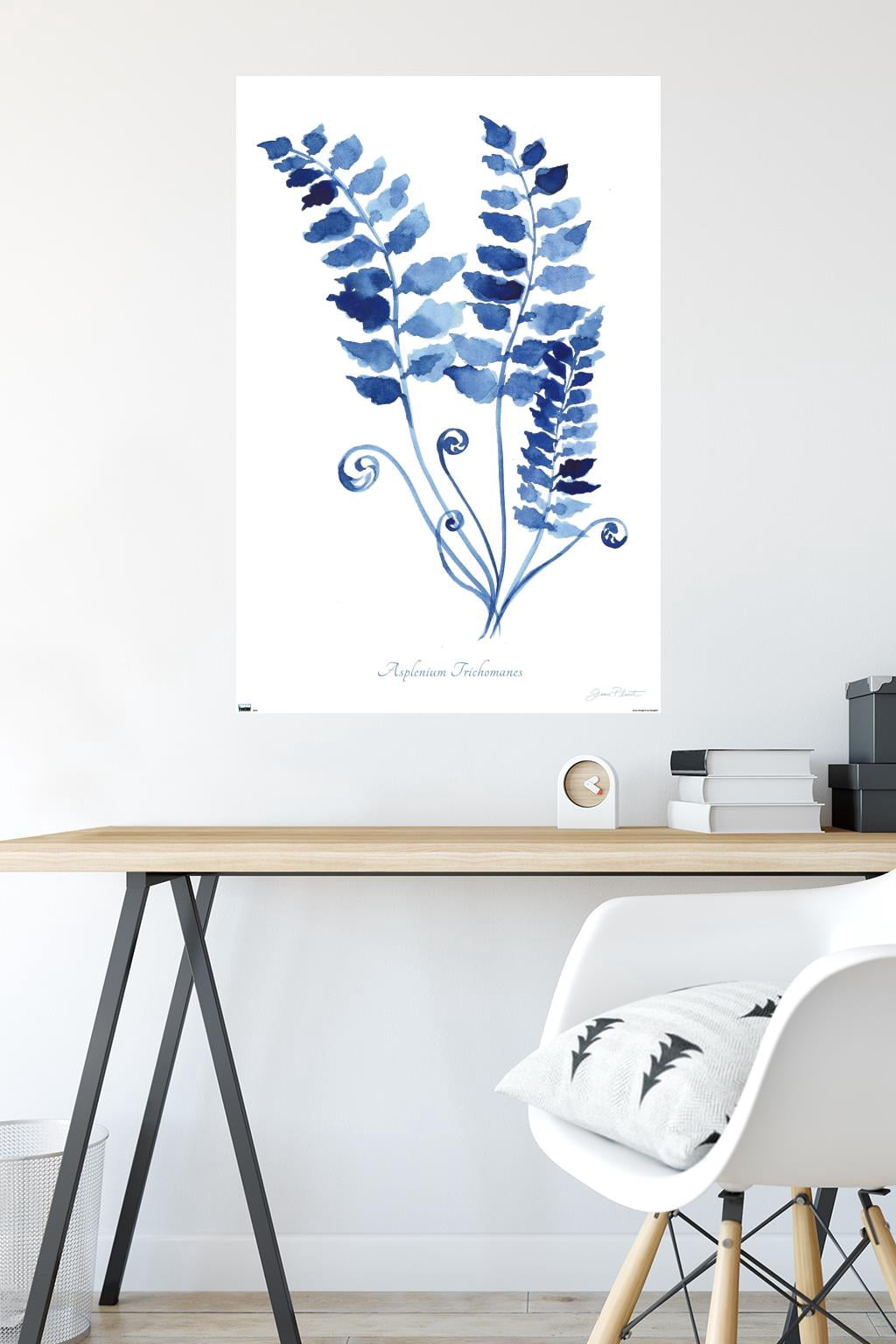 Jean Plout - Indigo Botanical Asplenium Trichomanes Wall Poster, 22.375" x 34"