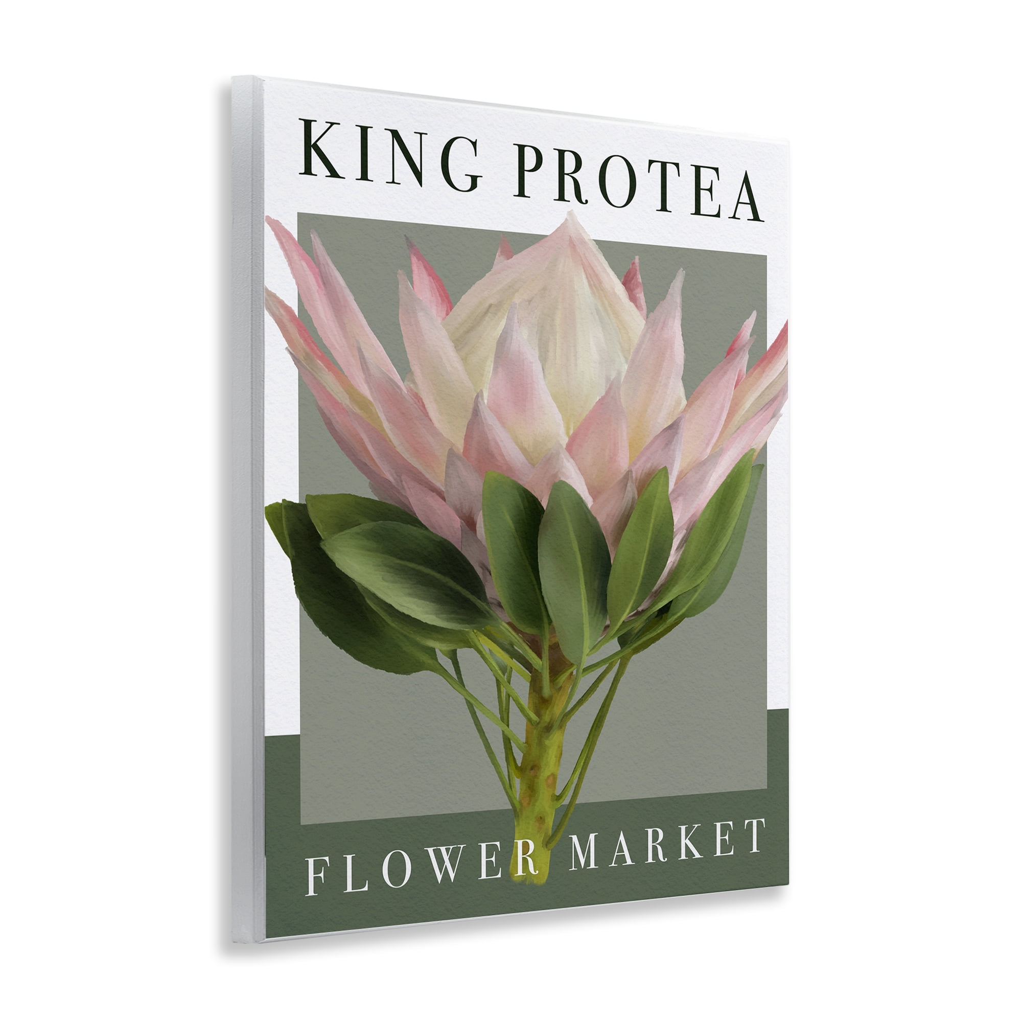 Stupell Industries King Protea Flower Market Wall Plaque Art, design by Jennifer Stith
