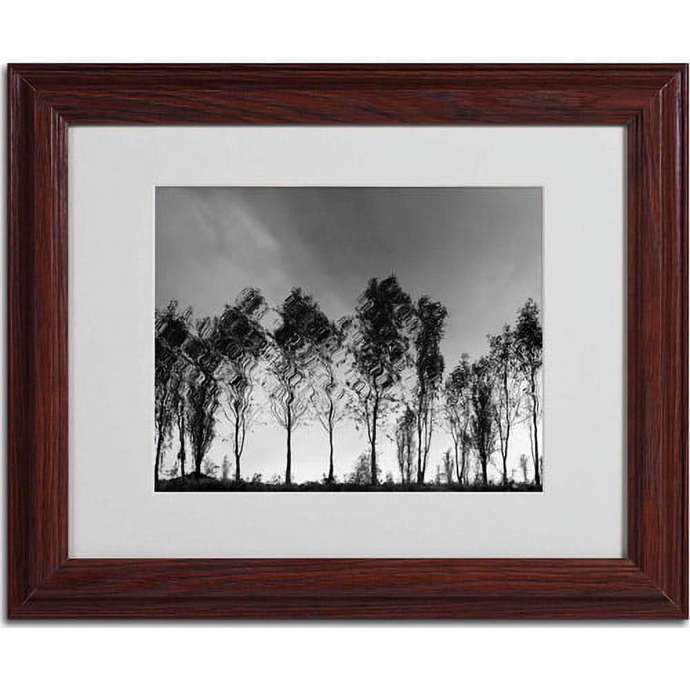 Trademark Fine Art "Xochimilco" Matted Framed Art by Moises Levy, Wood Frame