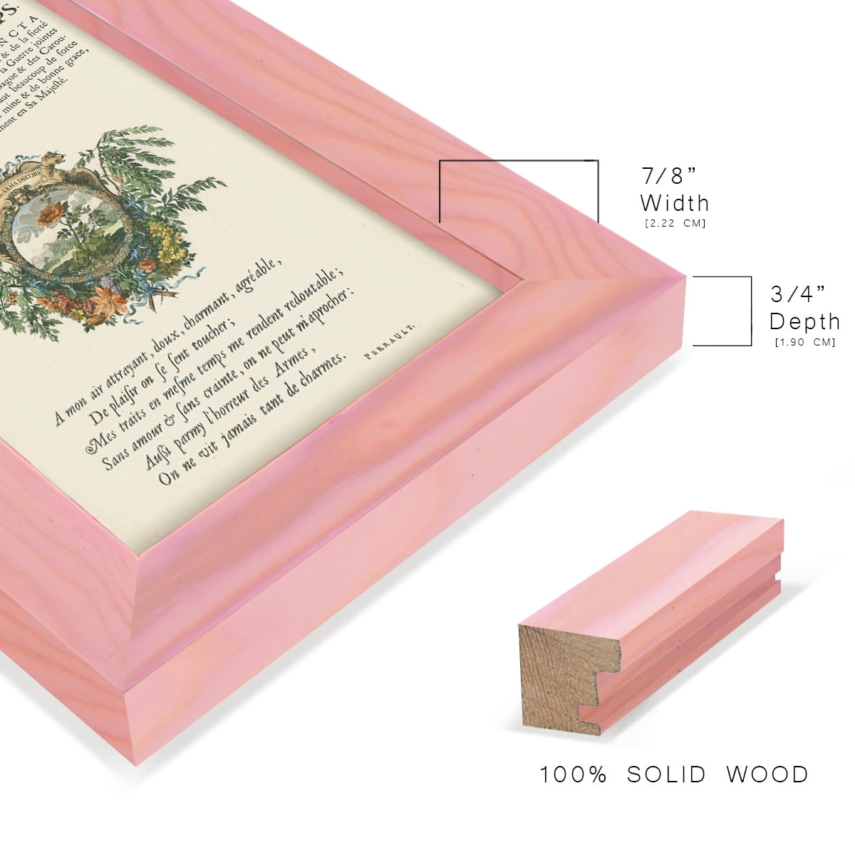 Printed Embellished Bookplate IV - Framed Print w/glass - Sunset Pink