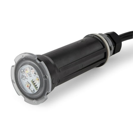 Pentair GloBrite Swimming Pool Bright LED 12V 100' Cord Water Light | 602055