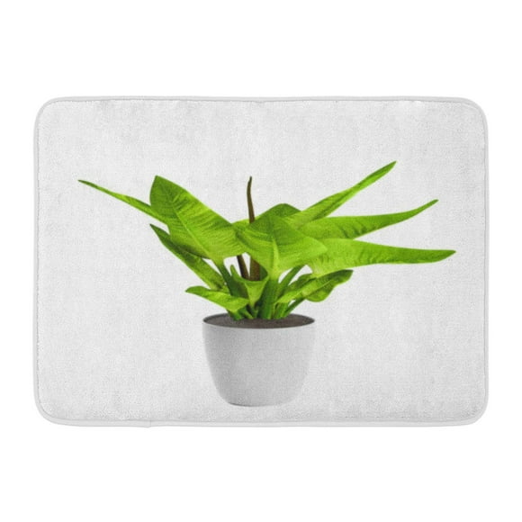 YUSDECOR Beautiful Green Plant Bird Nest Fern Tropical Tree Planted Ceramic Pot White 3D Rendering Asplenium Bio Rug Doormat Bath Mat 23.6x15.7 inch