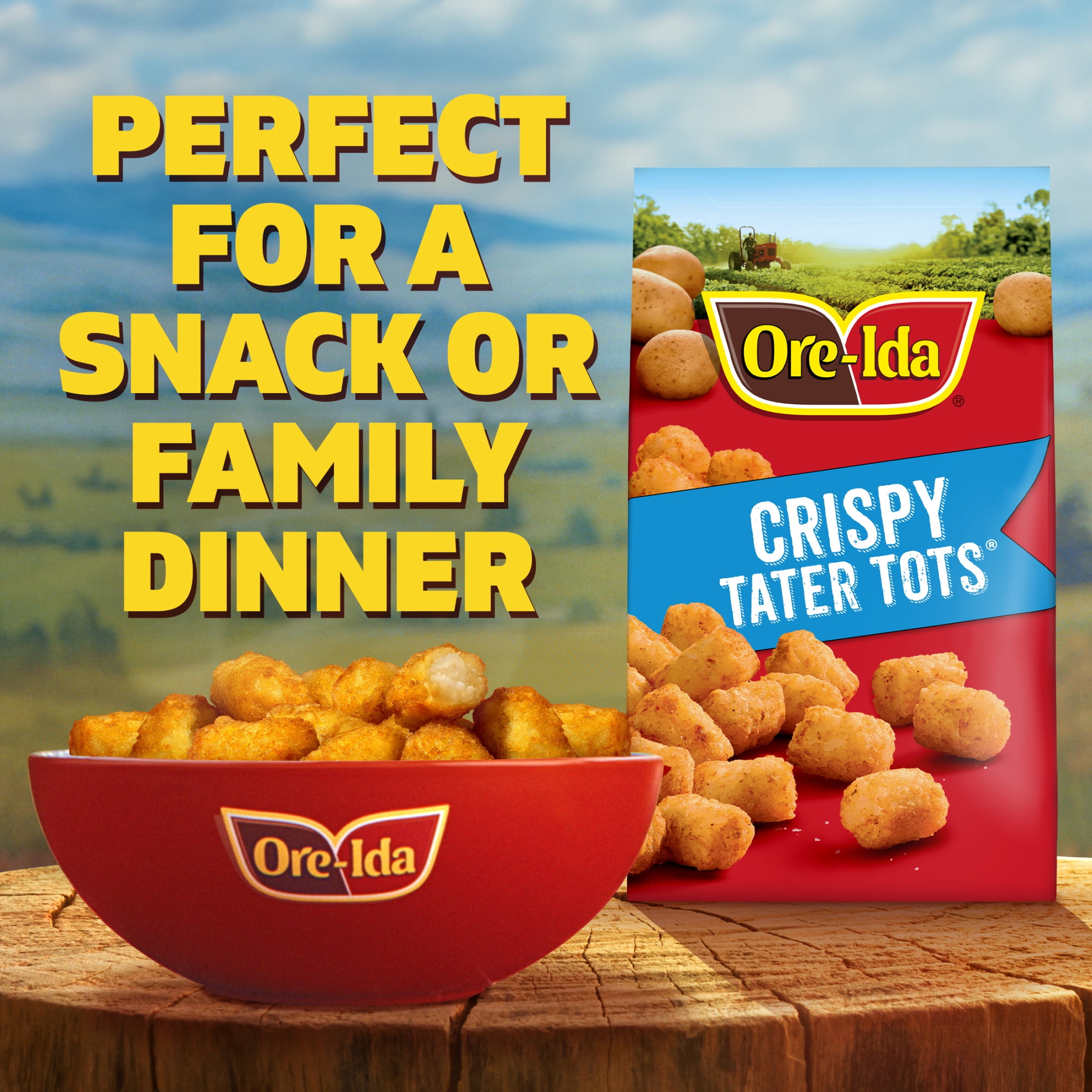 Ore-Ida Crispy Tater Tots Seasoned Shredded Frozen Potatoes, 1 Bag, for Easy Snacks and Dinner Sides, Gluten-Free, 32 oz