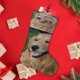 thumbnail image 4 of Golden Retriever Tema: Calcetines de Navidad, fino lino blanco para colgar en escaleras y chimenea, decoración navideña para el hogar, regalo de Navidad.54cm×38cm, 4 of 5