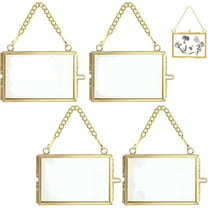 4 Pcs Specimen Metal Photo Frame,Double Floating Picture Frames,Golden Hanging Glass Picture Frames,Pressed Flowers Glass Frames with Chain,Glass Photo Frames for Home Decoration(Gold)