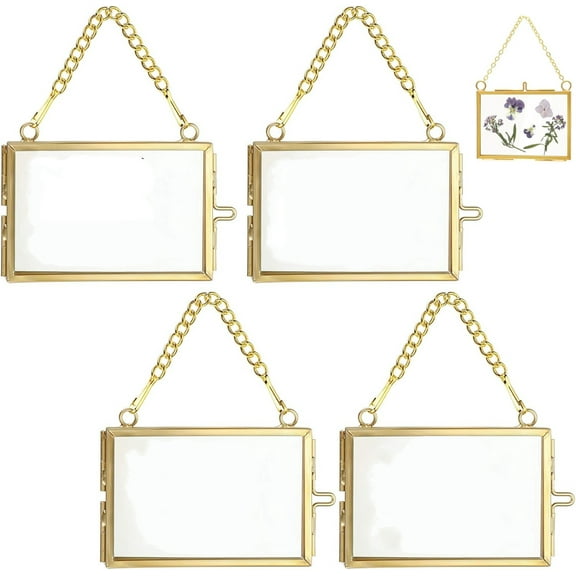 4 Pcs Specimen Metal Photo Frame,Double Floating Picture Frames,Golden Hanging Glass Picture Frames,Pressed Flowers Glass Frames with Chain,Glass Photo Frames for Home Decoration(Gold)