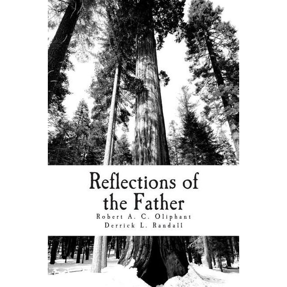 Reflections of the Father (Paperback)