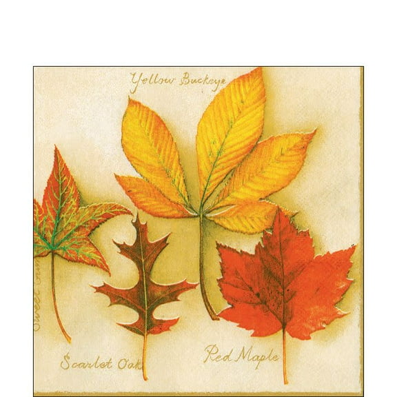 Autumn Leaves Paper Cocktail Napkins