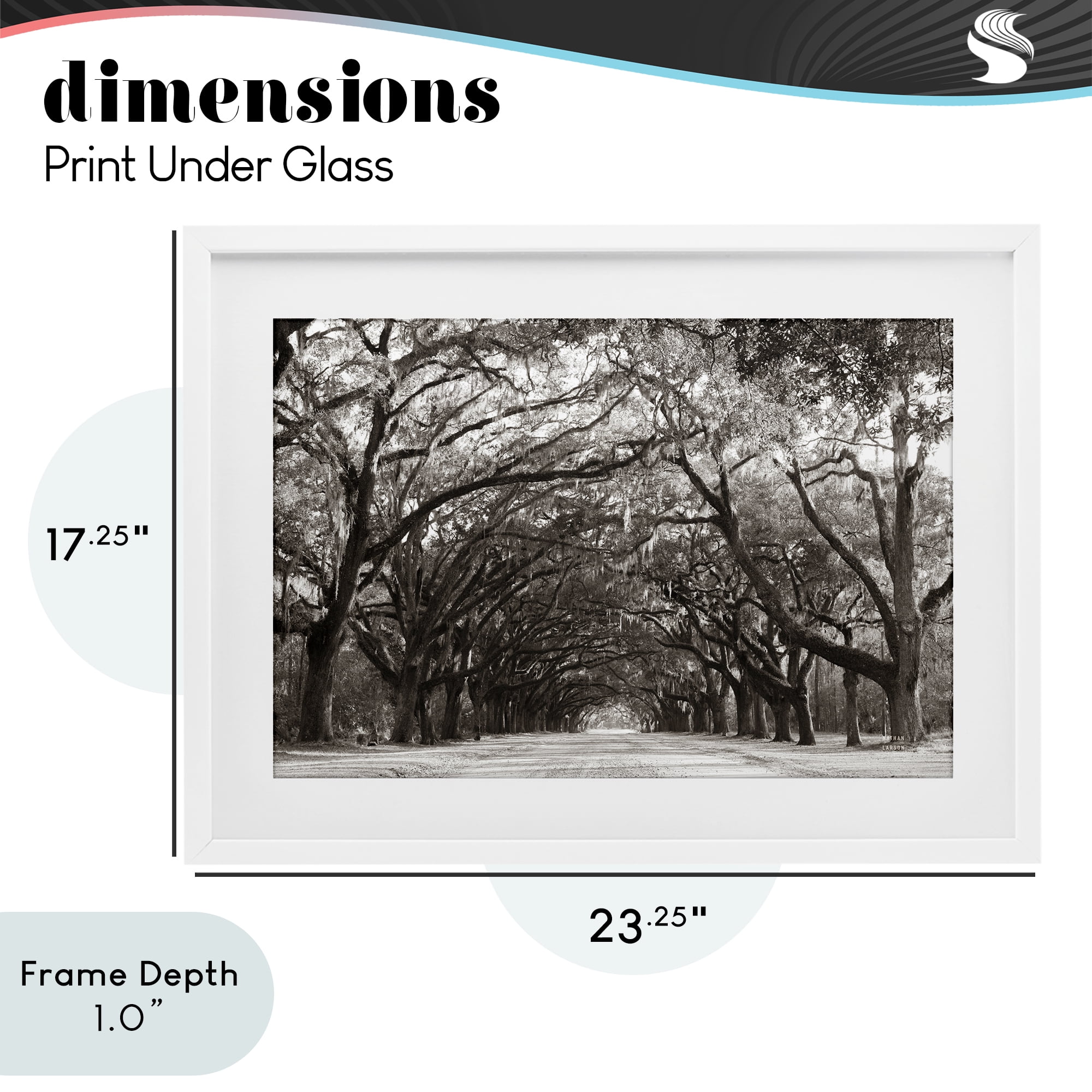 Stupell Industries Georgia Stroll Tree Tunnel White Framed Print Under Glass, design by Nathan Larson