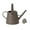 Coffee, variant on Watering Can for Indoor Outdoor Plants, 3.8L/1 Gallon Modern Small Watering Cans with Removable Nozzle, Long Spout Watering Can for Indoor Bonsai Plants Garden Flowers