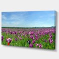 thumbnail image 2 of Panorama du Champ de Coquelicot Violet - Impression sur Toile Florale, 2 of 3