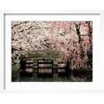 thumbnail image 2 of Art.com Cherry Blossoms, Mishima Taisha Shrine, Shizuoka Photographic Print, White Frame Wall Art, 21" x 17", 2 of 5
