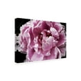thumbnail image 2 of Irena Orlov 'Pink Peony Passion IV' Canvas Art, 2 of 3