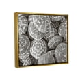 thumbnail image 3 of Stupell Industries Pewter Sea Urchins Photography Animals & Insects Photography Gold Floater Framed Art Print Wall Art, 31 x 25, 3 of 9