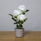 thumbnail image 4 of Naiovety Luz LED solar Bonsai único Lámpara de maceta Planta en maceta Luces de rosas Jardín Lámparas de noche Césped Dormitorio Hogar Decoración del hogar Blanco, 4 of 6