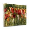 thumbnail image 2 of Tangletown Fine Art Tipsy Tulips By Shirley Novak,  Gallery Wrap Canvas, 2 of 2