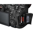 thumbnail image 5 of Canon EOS R6 Mark III Mirrorless Camera with RF 24-105mm f/4-7.1 is STM + RF-S 55-210mm f/5-7.1 is STM Lens + Extra Battery + SanDisk Extreme Pro 128GB(17pc Bundle), 5 of 6