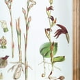 thumbnail image 3 of Rectangular Wooden Wall Art with Orchid Theme, Assortment of 4, White, 3 of 5