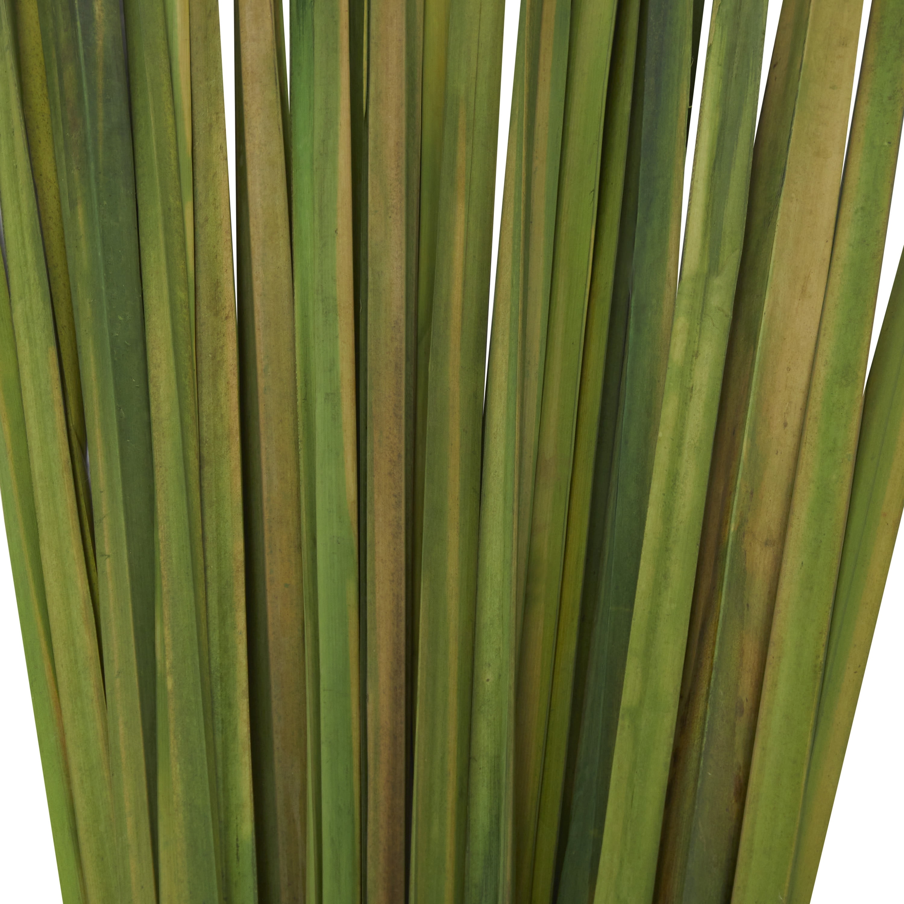 39" Dried Plant Natural Foliage Sticks Bouquet with Slender Stems, by DecMode