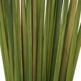 thumbnail image 4 of 39" Dried Plant Natural Foliage Sticks Bouquet with Slender Stems, by DecMode, 4 of 7