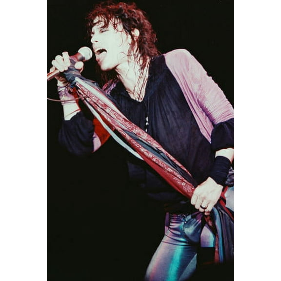 Aerosmith Steven Tyler Iconic In Concert 24x36 Poster
